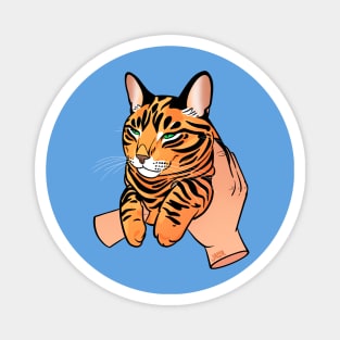 Tiger Tabby Held Magnet